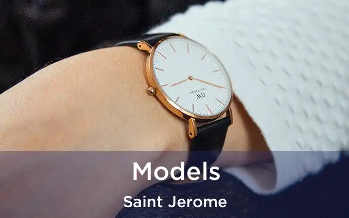  Models Saint Jerome