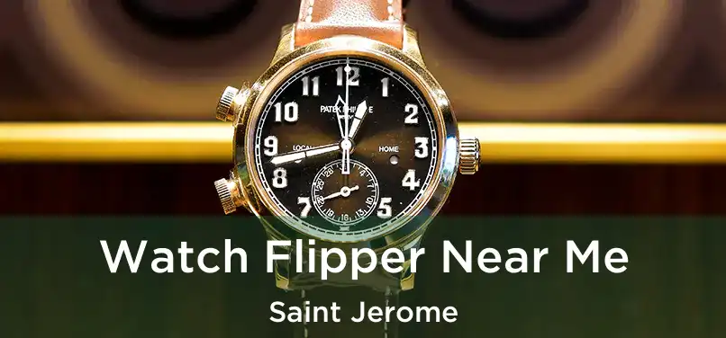  Watch Flipper Near Me Saint Jerome